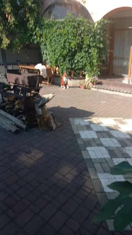 Апартамент Семейный уют