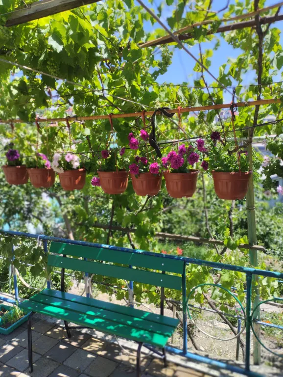 Комната на даче в Агое