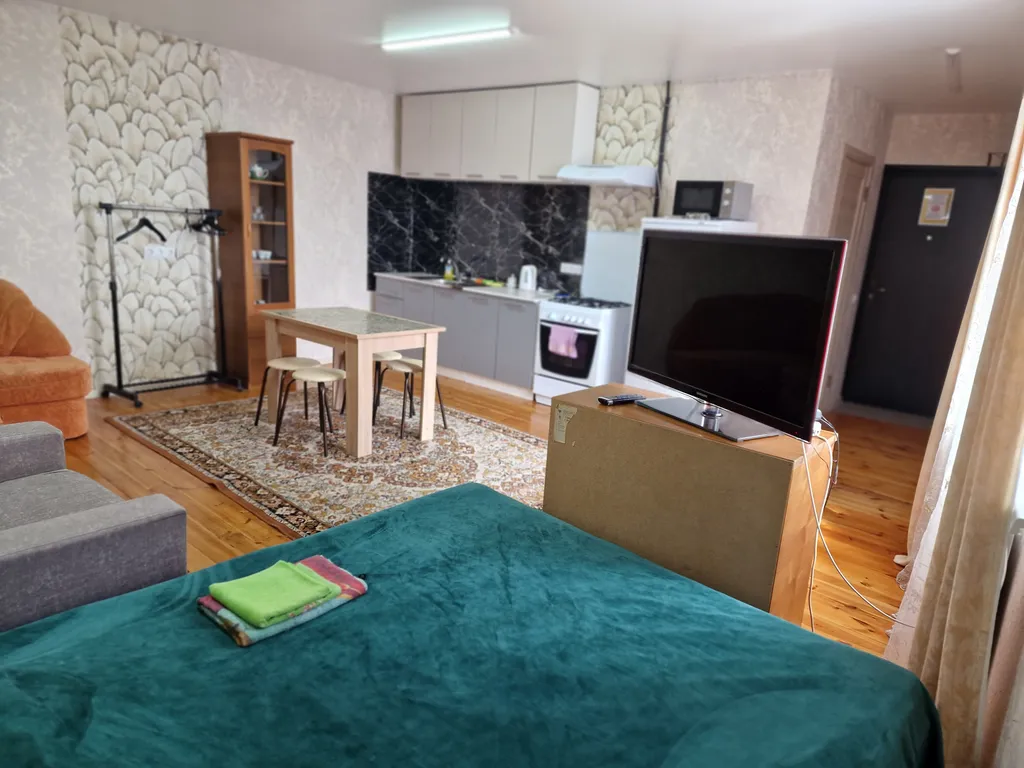 1-комнатная квартира со всеми удобствами в зеленой части города!