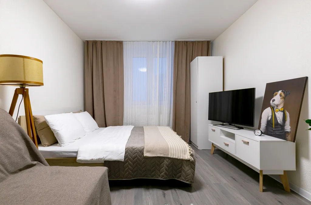 Просторная уютная однокомнатная квартира