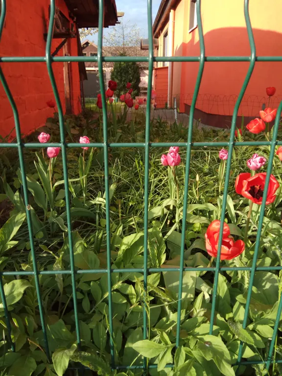 В 10 минутах от Балтийского моря