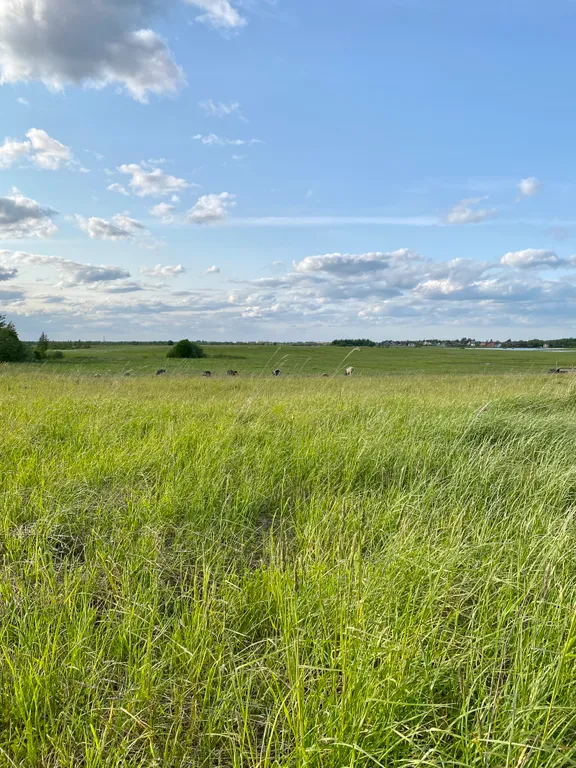 Коттедж Уютный дом рядом с озером — Великий Новгород