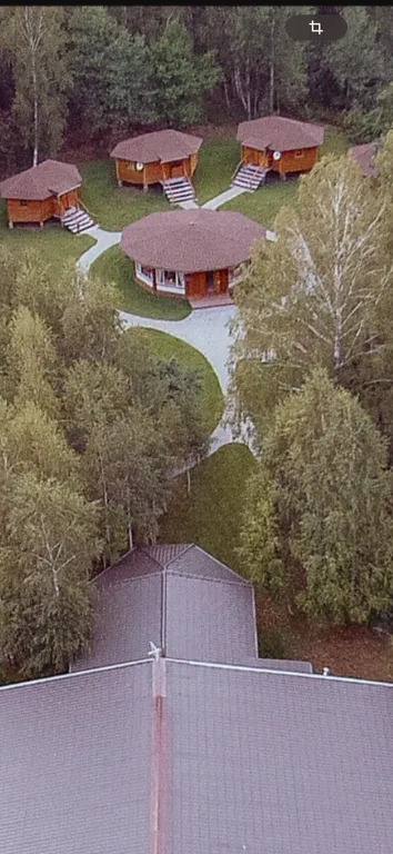 Уютные бунгало на лесной опушке