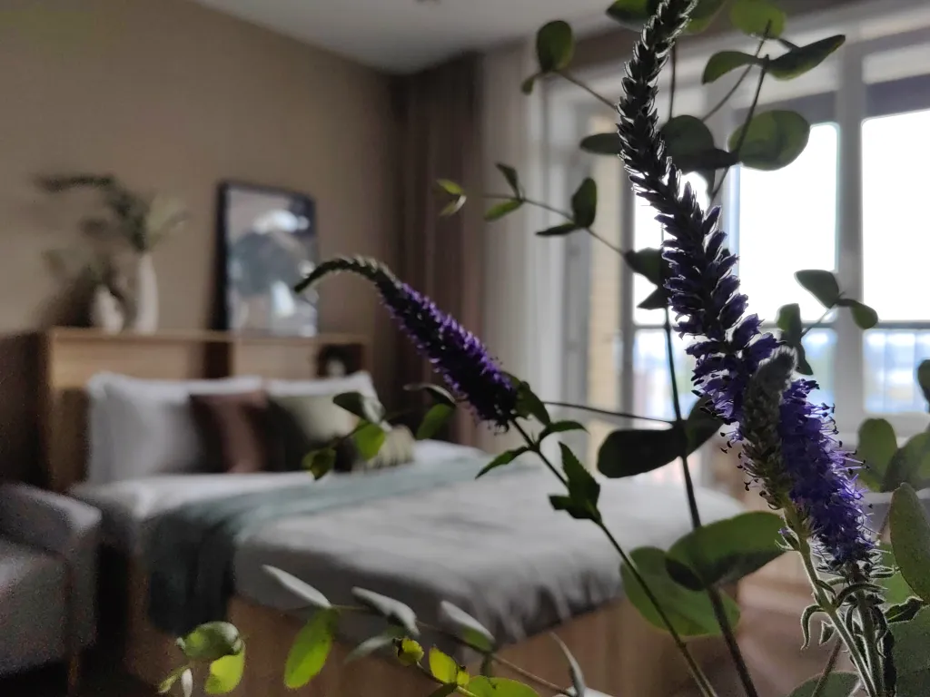 Вельвет, rasko home, с видом на реку и мост, новый дом у жд вокзала