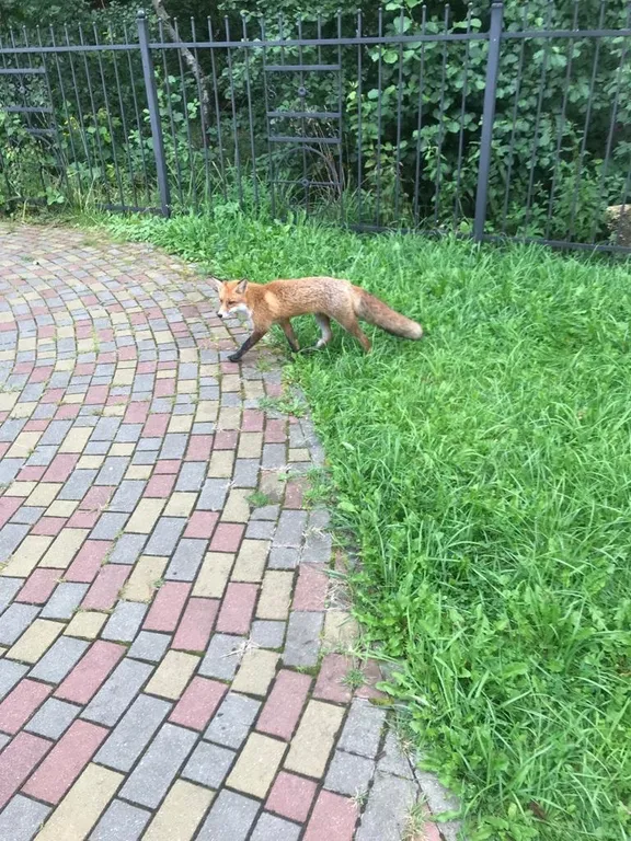 Lake-City apartments