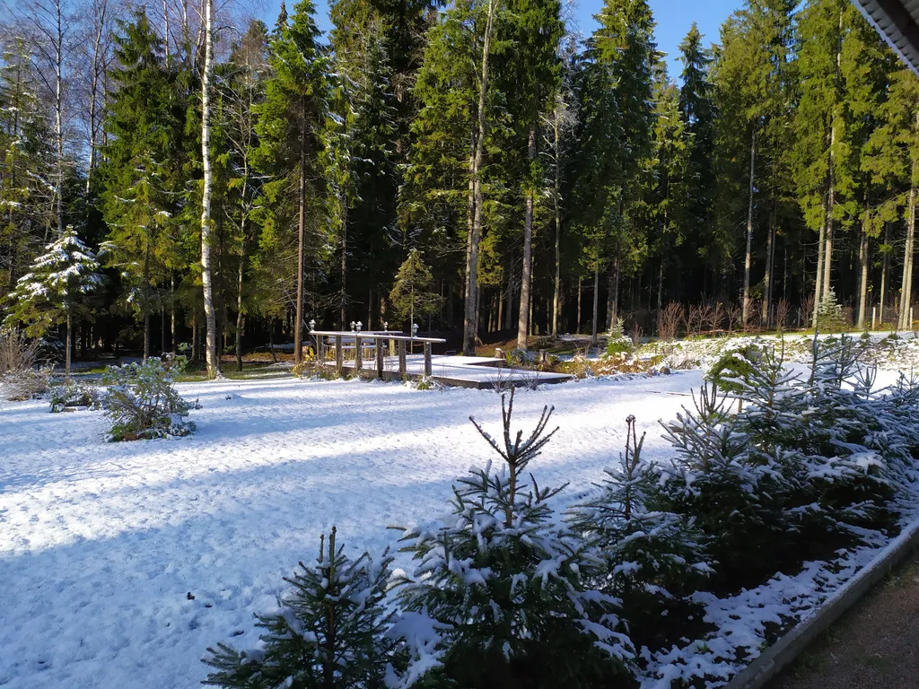 Коттедж Коттедж Сапфир с теплым бассейном и баней — Агалатово