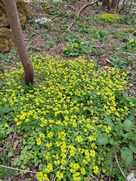 Лучший отдых для души и тела в горах Осетии