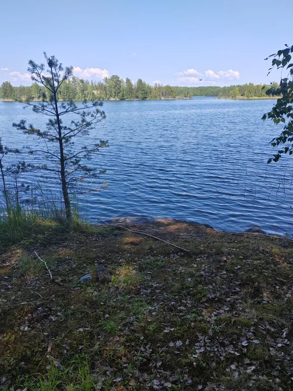 Гостевой дом для 2-6 человек с крытой террасой и мангалом
