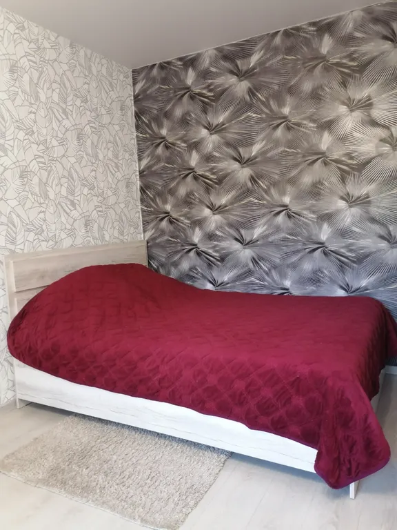 Уютная квартира в центре ждёт своих гостей (не моложе 25 лет) — аренда посуточно в Бердск