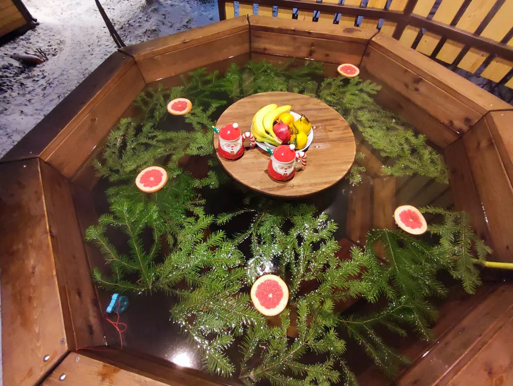 Коттедж Коттедж Shuya Tiny House 2 — Петрозаводск