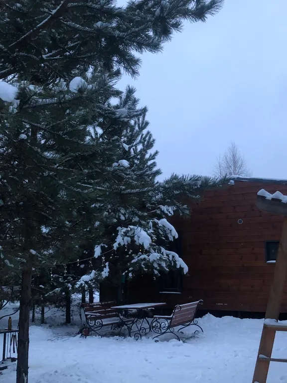 Отдых для души