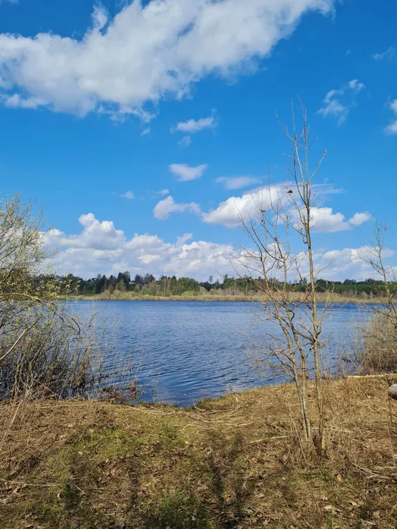 Коттедж Коттеджи у озера — Луга