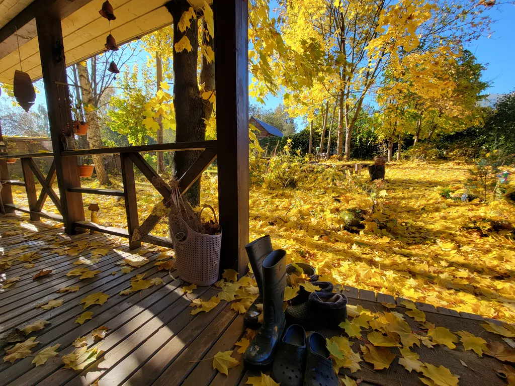 Коттедж Коттедж под сенью лесных деревьев — Москва