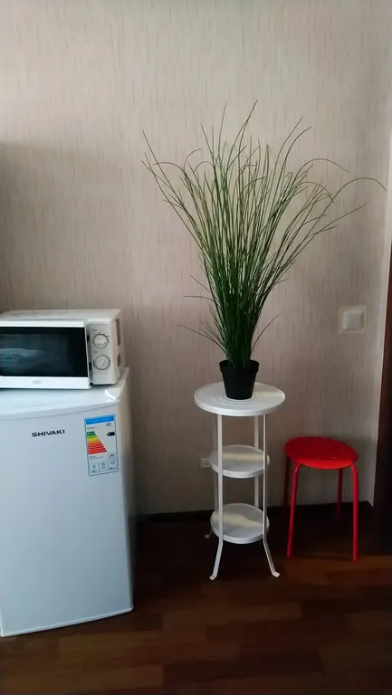 Уютная студия в Новом Петергофе