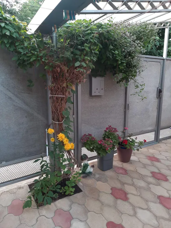 Новая студия в 6 минутах от моря и 3 от парка Поддубного