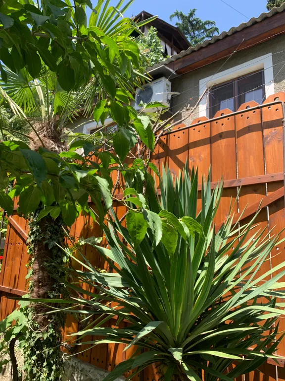 Уютный дом у моря со своим двориком и мангалом