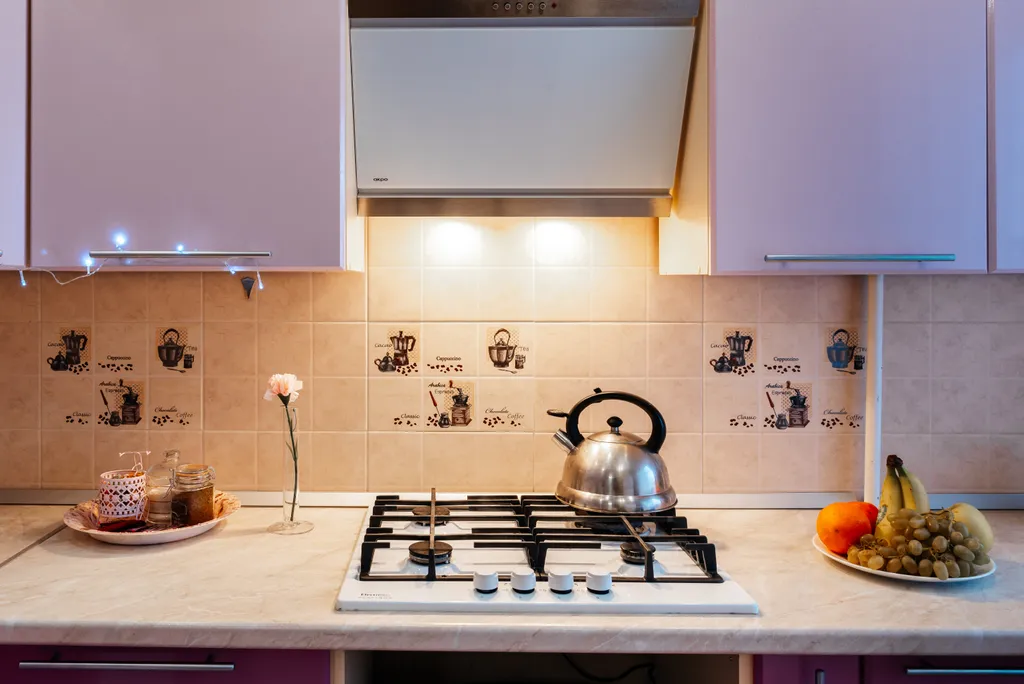 Огромная квартира с 2 санузлами