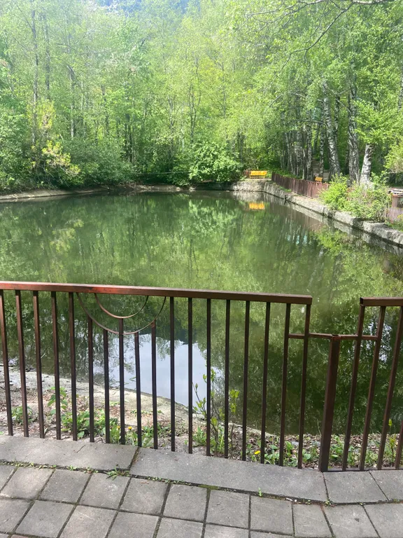 Уютная квартира в сердце заповедника — аренда посуточно в Теберда