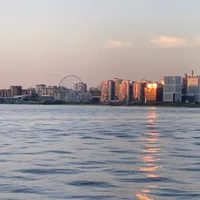 Ирина Росинская