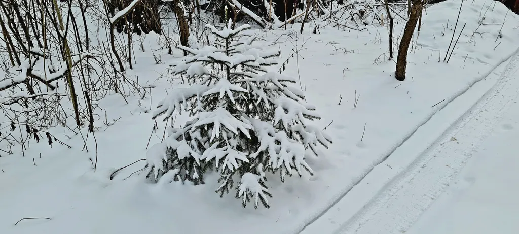 Домик у озера рядом с Москвой