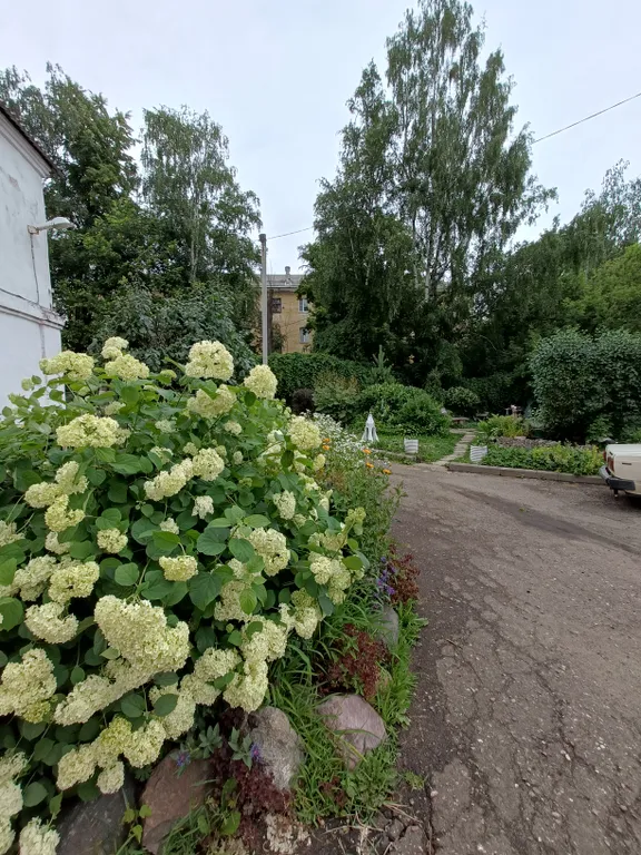 Квартира Уютная квартира в самом центре — Ярославль