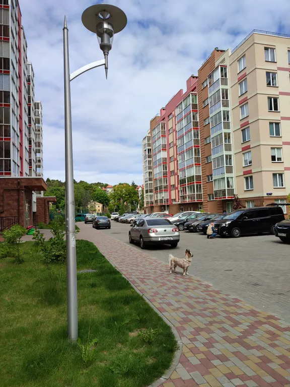 Квартира Уютная квартира на побережье Балтийского моря — Светлогорск