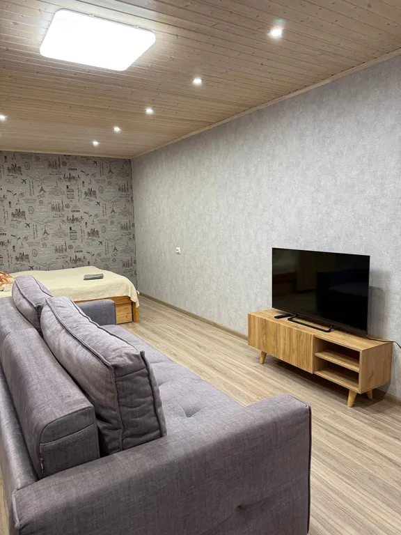 Уютная студия на первом этаже