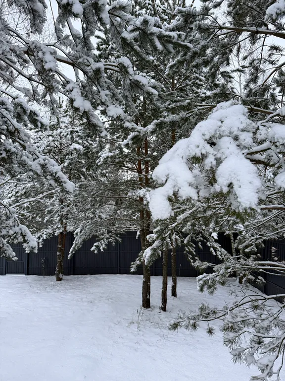 Уютный домик у леса