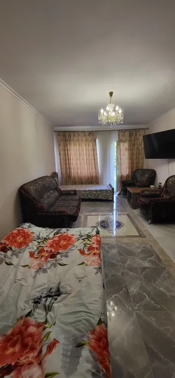 Уютный номер с видом на ореховую рощу