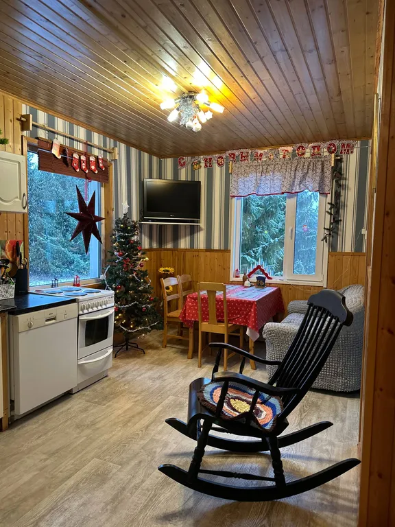 Дом в Карелии с печью-камином и видом на лес