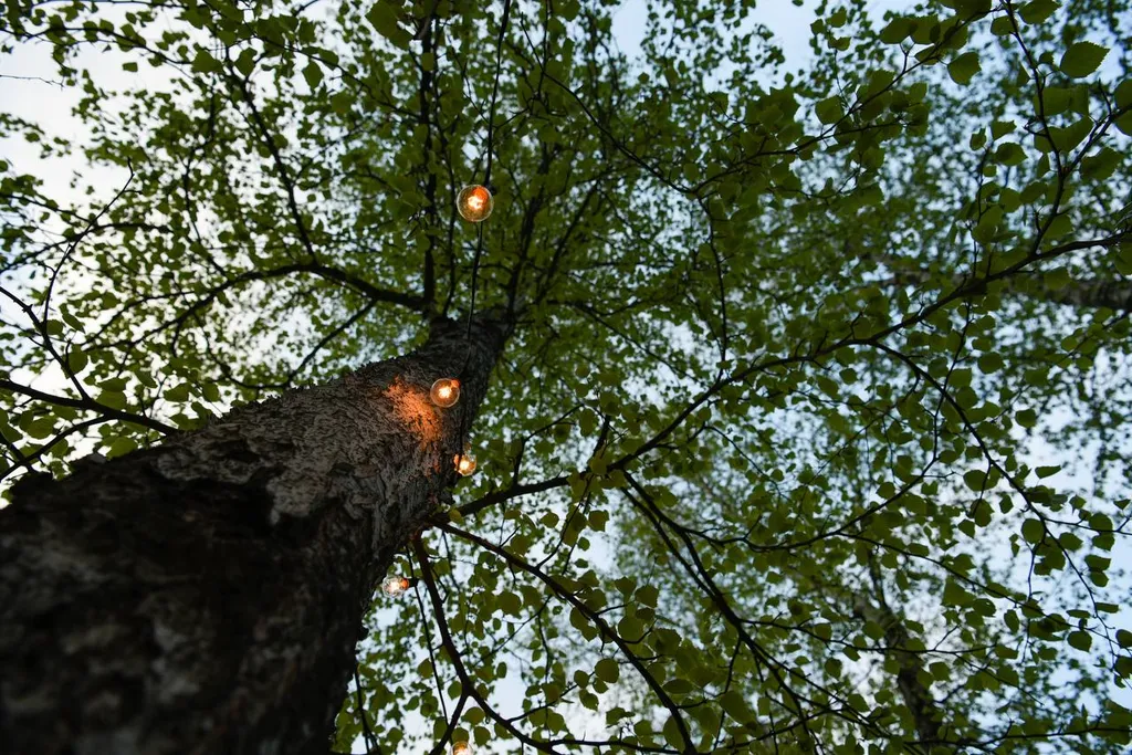 Зеленый домик на 6 человек