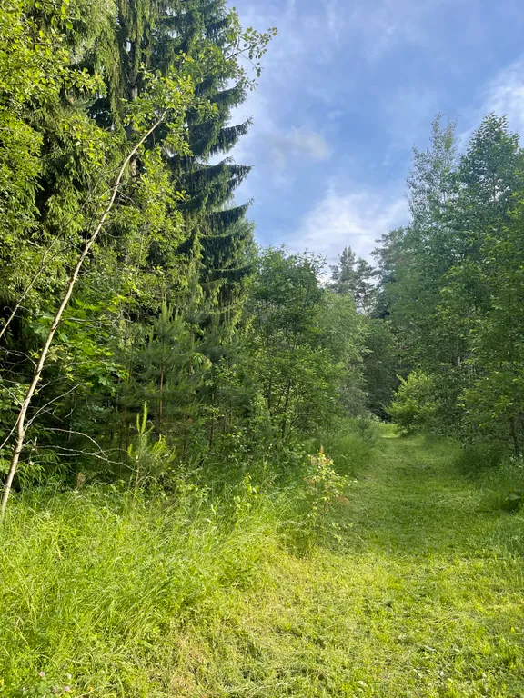 Коттедж Шишкин дом — Семеновское