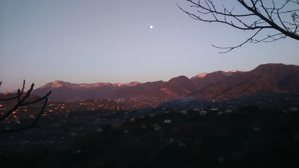 Гостевой дом Ласточки