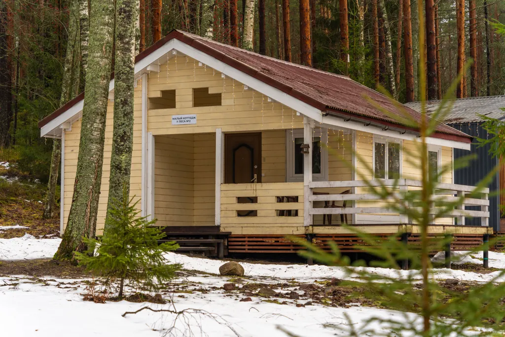 Малый коттедж у леса