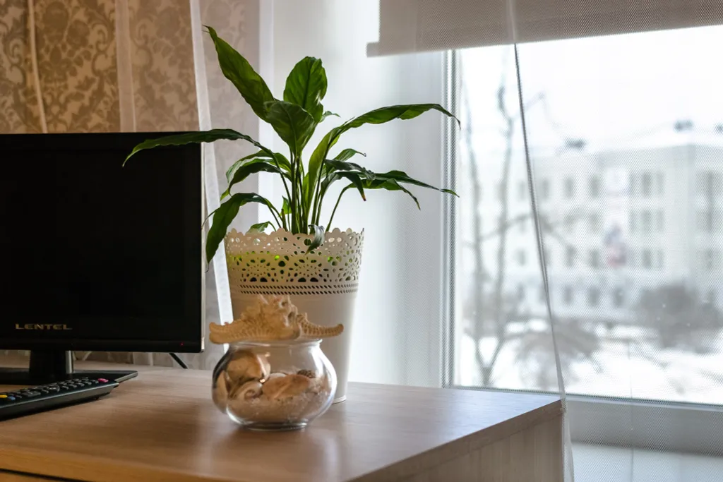 Квартира в историческом центре города