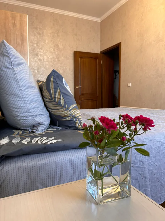 Уютные и красивые апартаменты в центре города