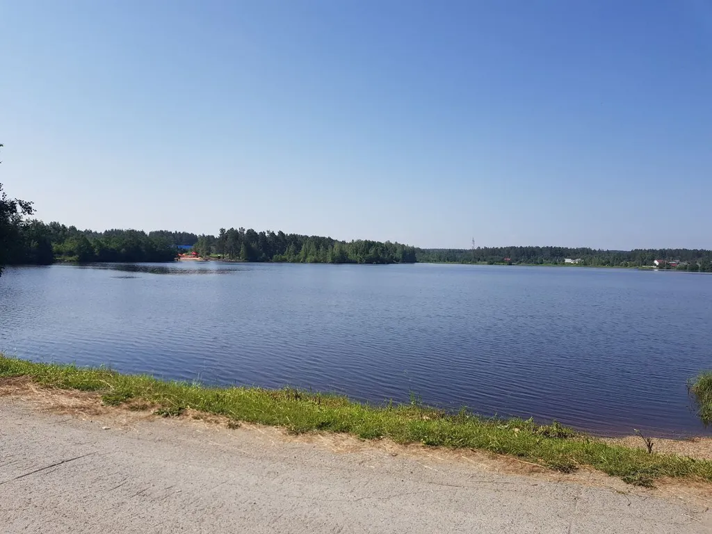 Домик в лесу