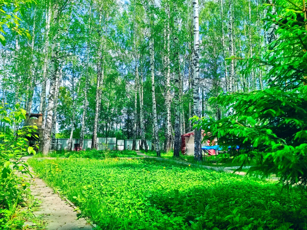 Дом с баней у Голубого озера