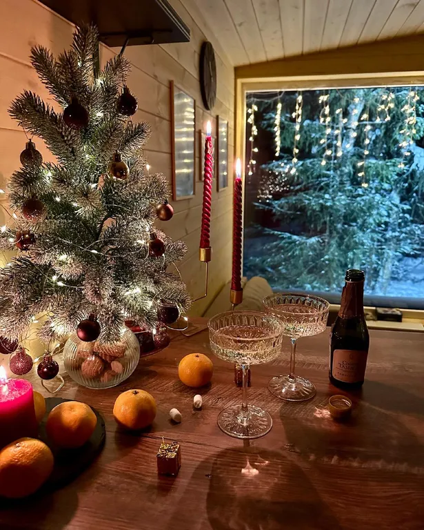 Нескучный домик Mänty с купелью