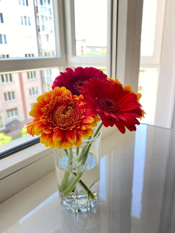 Royal Classic Apartment у Королевских ворот