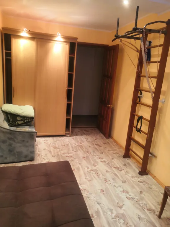 Комната с видом на парк лес, зелень