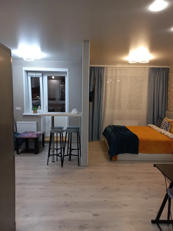 Большая, солнечная студия с перегородкой