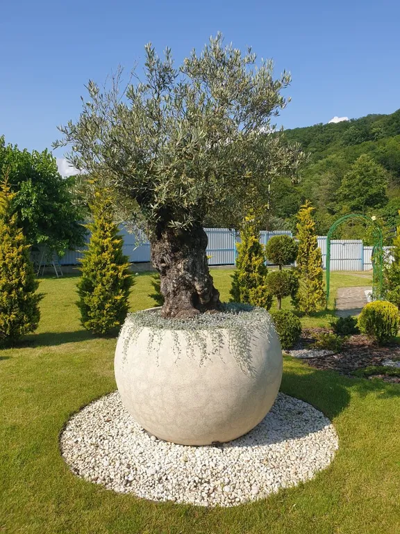 Дом недалеко от моря в лоне гор