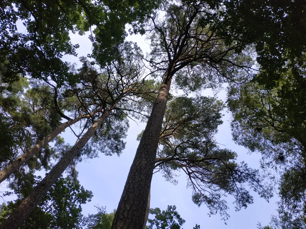 Уютная квартира как дома