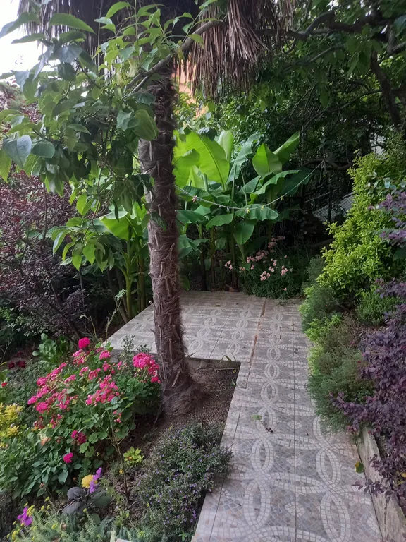 Квартира Уютная квартира  в центре города возле парка Дендрарий одна на этаже. — Сочи