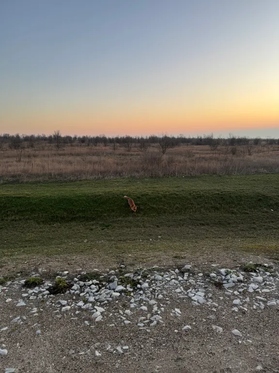 Атмосферный дом с двумя изолированными спальнями