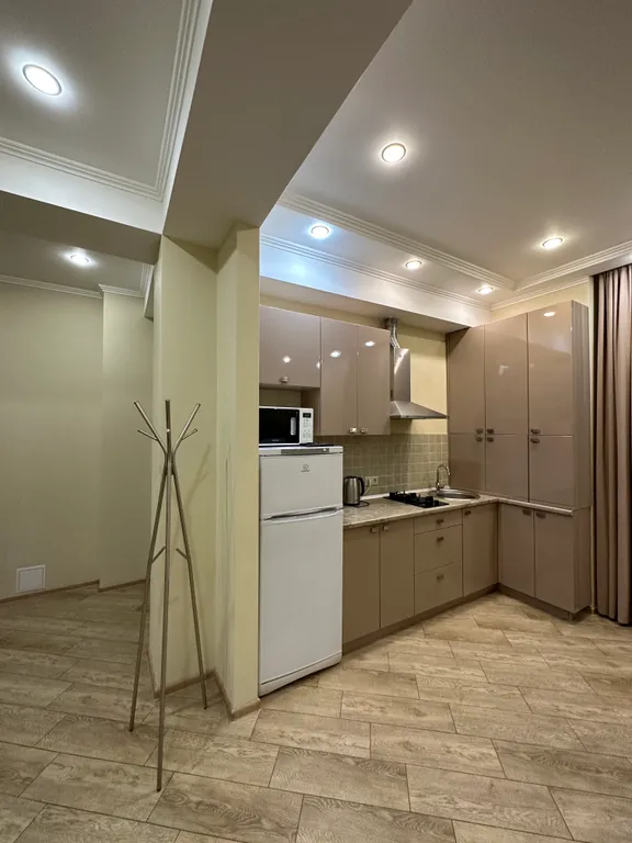 Евро-двухкомнатный апартамент Лаура 8