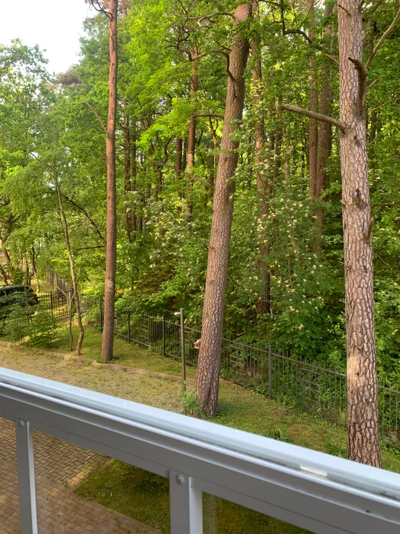 Квартира Уютная квартира в центре города с лесным массивом . — Светлогорск