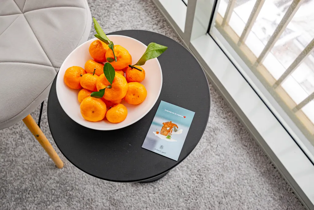 Шикарный вид с 22 этажа на эспланаду | центр | отчетные документы