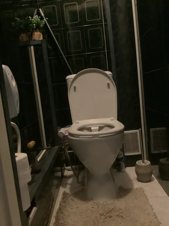 Уютная комната возле Зоопарка